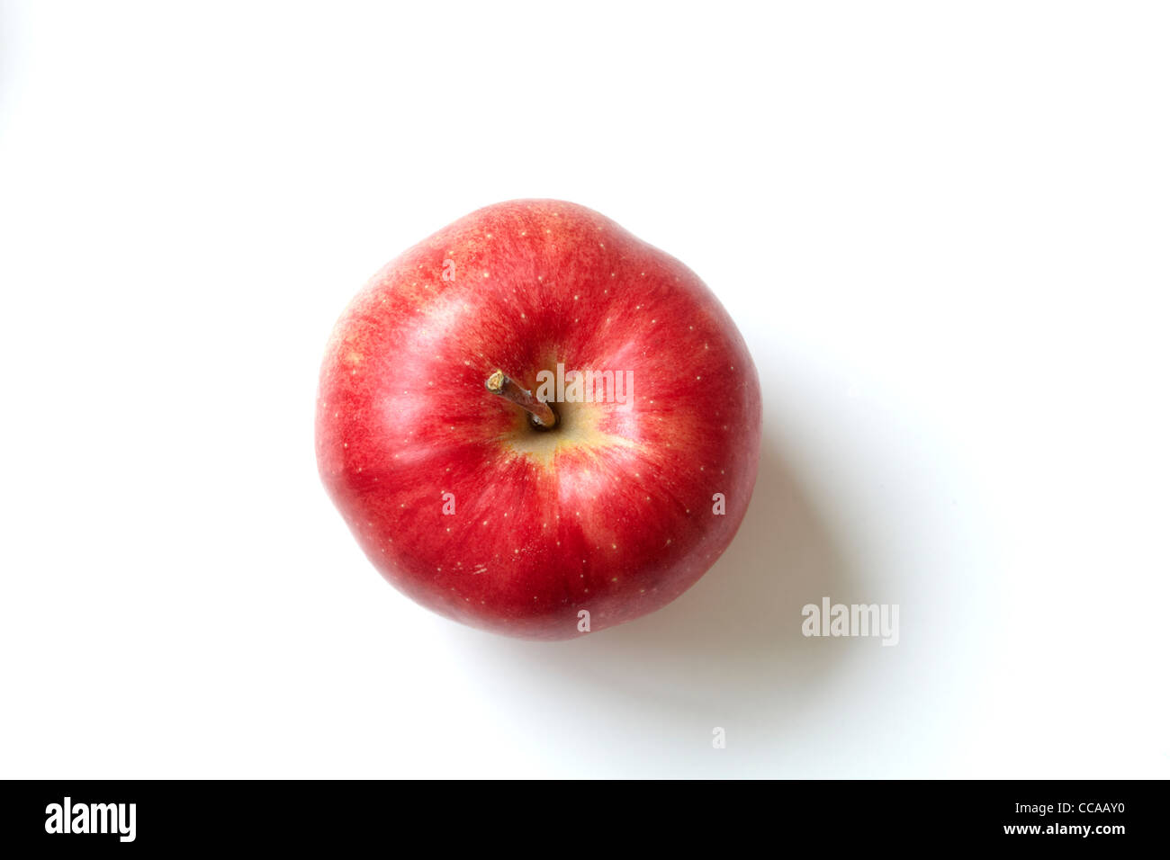 Single Red Jonagold Apple Stock Photo Alamy