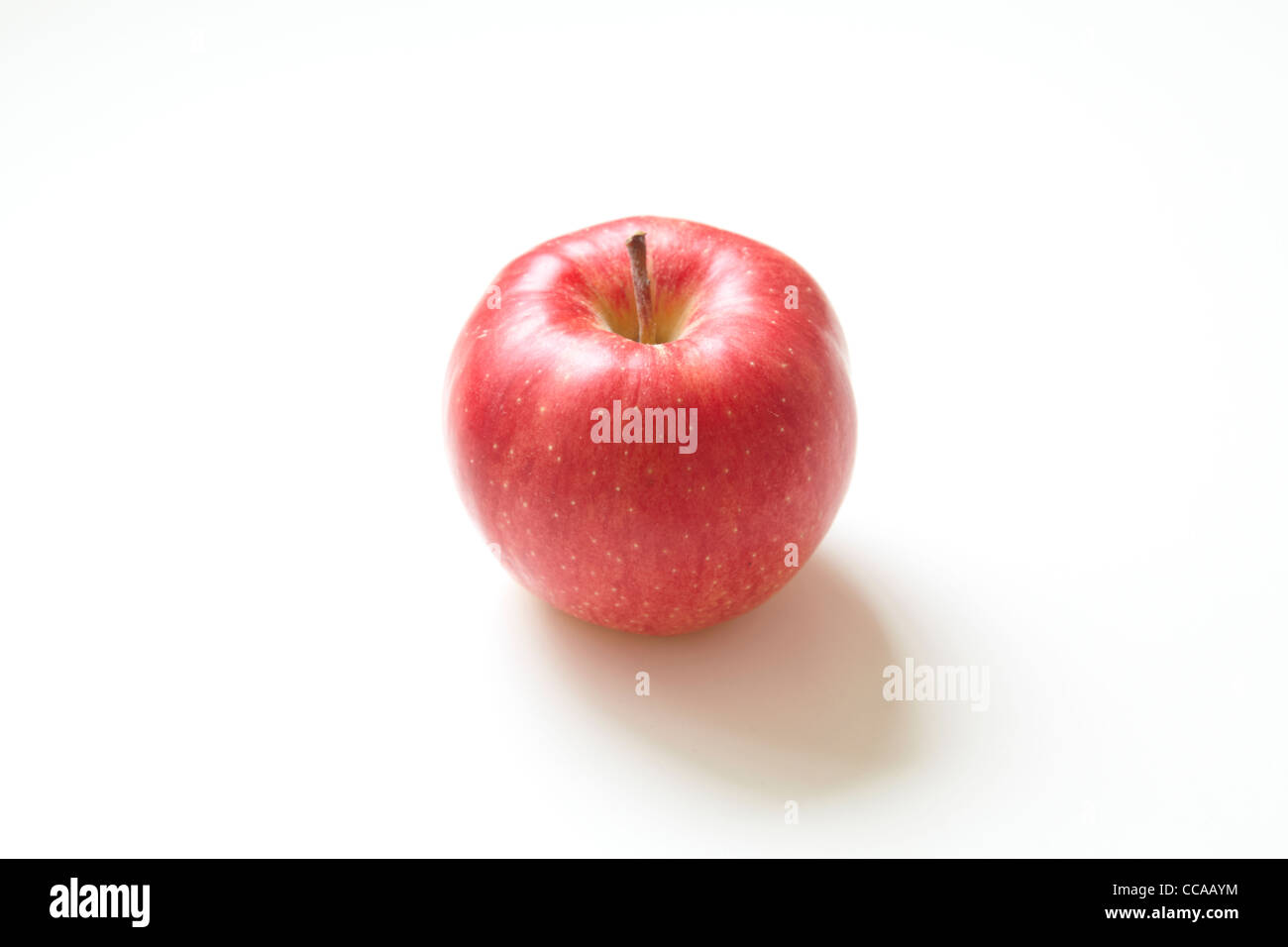 Single Red Jonagold Apple Stock Photo Alamy