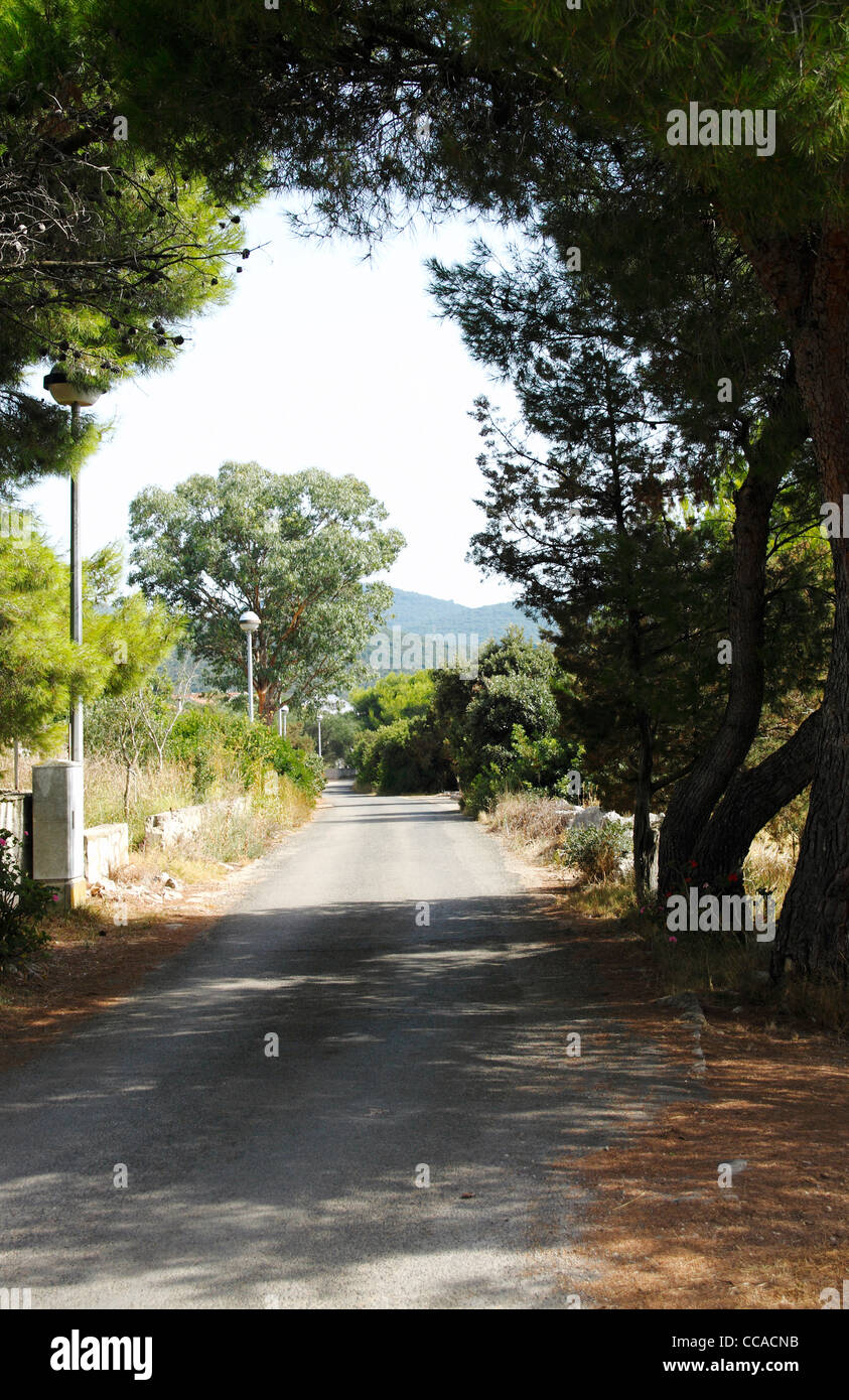 Road leading through Loviste village, Peljesac peninsula, Croatia Stock Photo