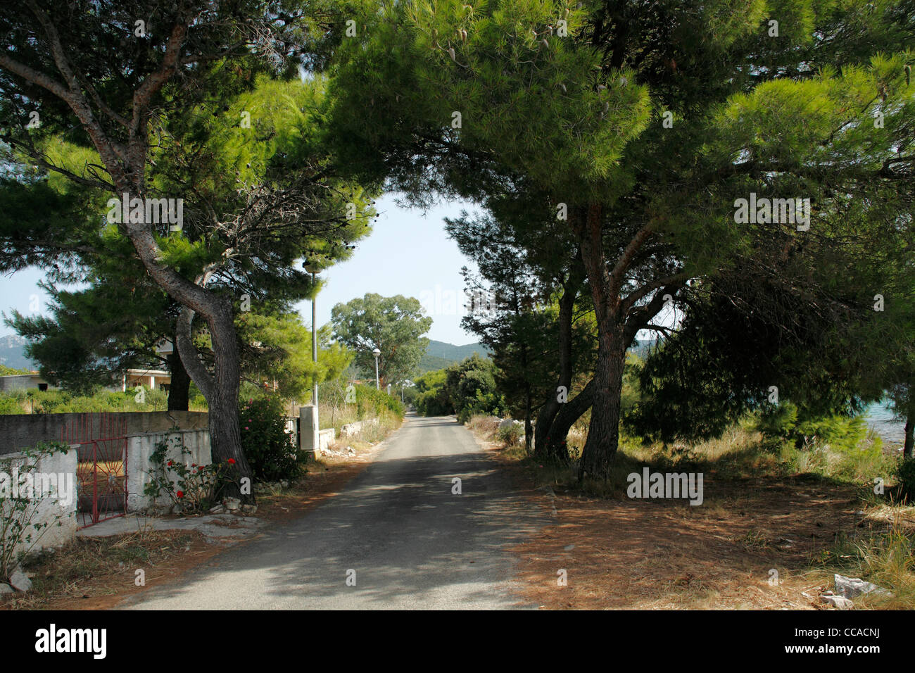 Road leading through Loviste village, Peljesac peninsula, Croatia Stock Photo
