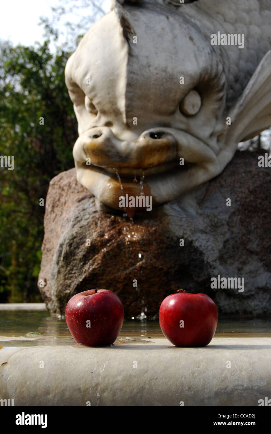 The Traveling Apples - Apples fear the big fish Stock Photo