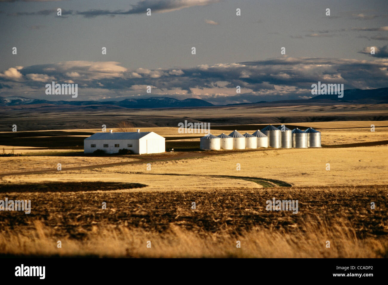 Grain storehouses hires stock photography and images Alamy