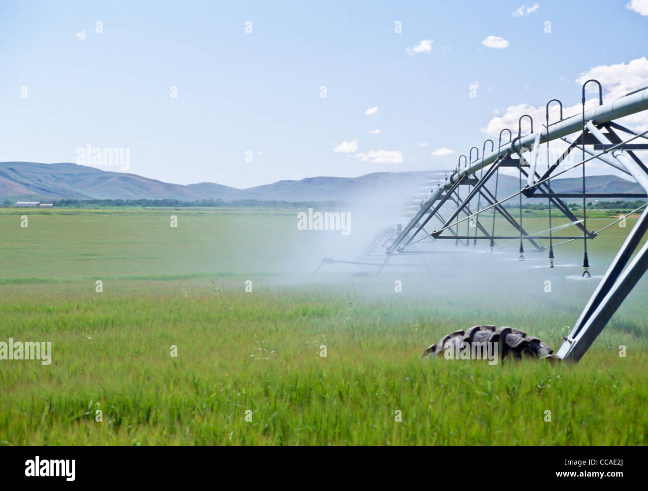 Center pivot irrigation america hi-res stock photography and images - Alamy