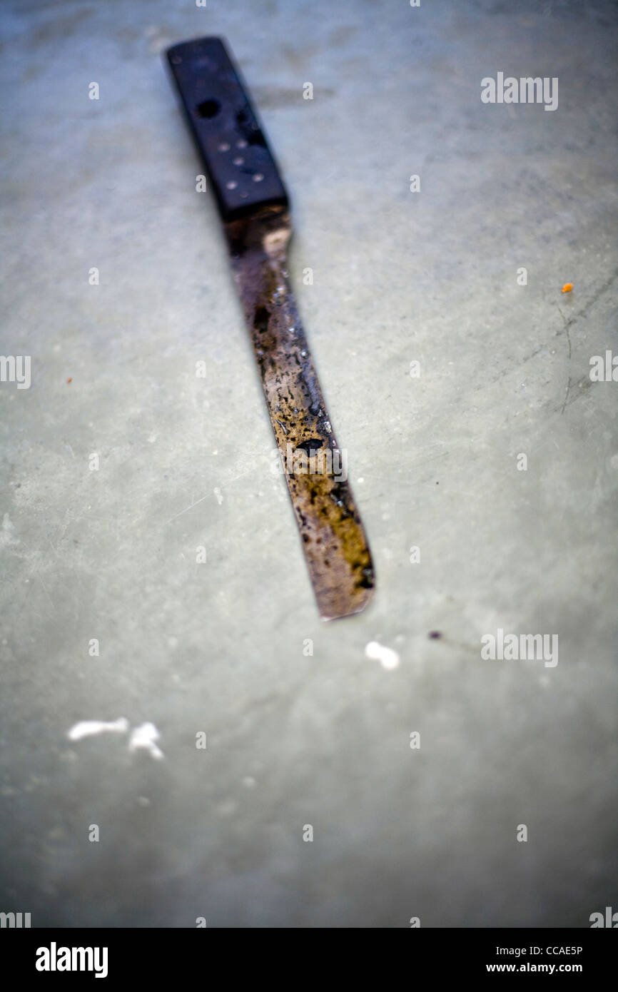 A knife in the kitchens at Moti Mahal Restaurant in Old Delhi, India