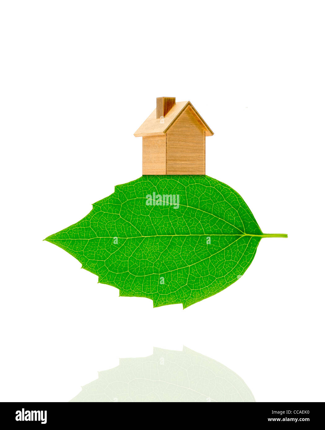 Wooden House on Leaf Stock Photo