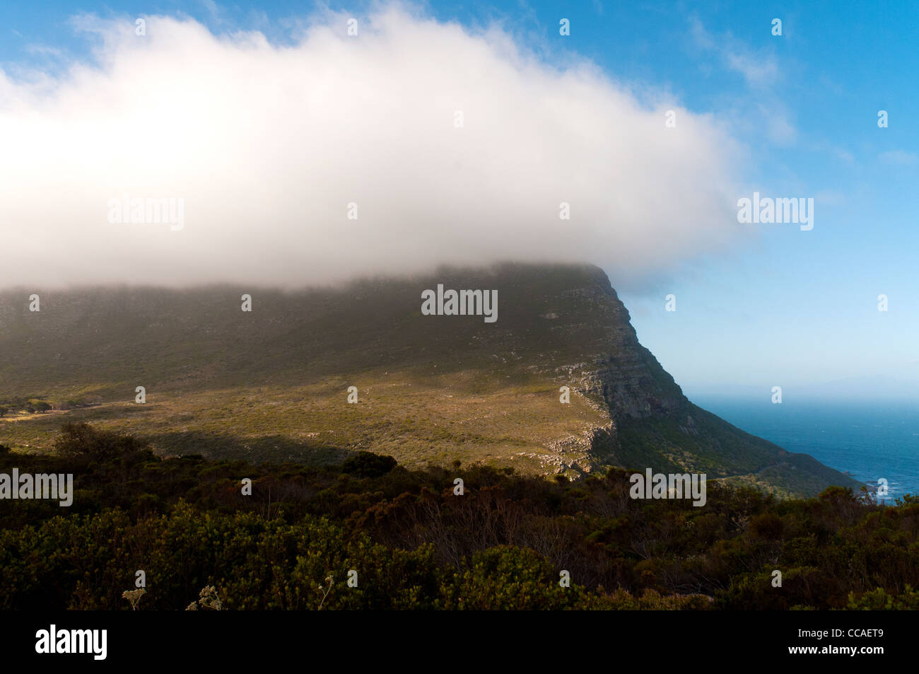 Table Mountain National Park, Cape Town, South Africa Stock Photo