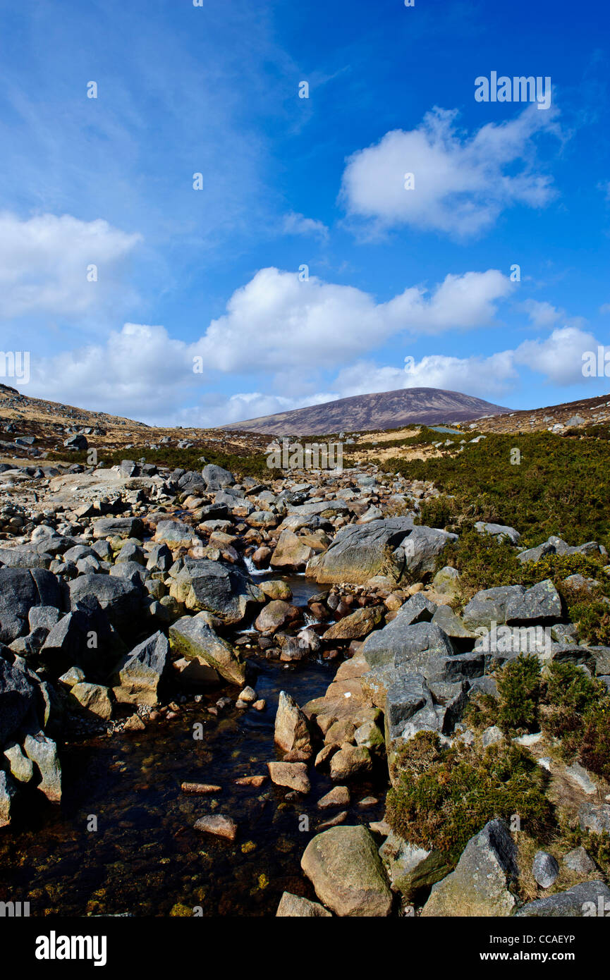 Near Wicklow Gap in the Wicklow Mountains in Ireland Stock Photo Alamy
