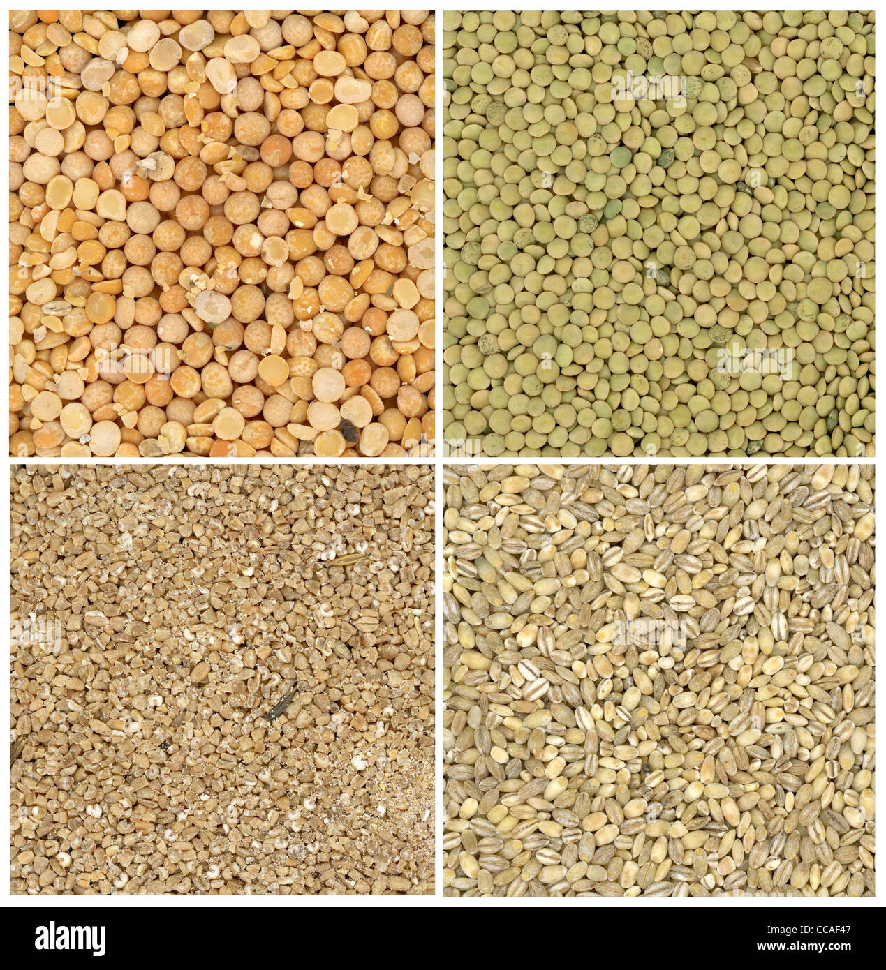 collection of lentil,wheat,pearlbarley and pea backgrounds Stock Photo