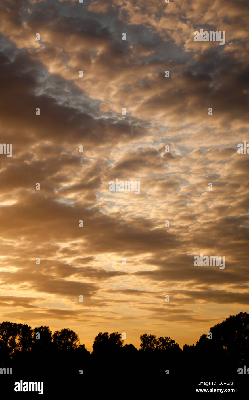 Silhouetted Trees Against a Cloudy Sunset Sky Stock Photo - Alamy