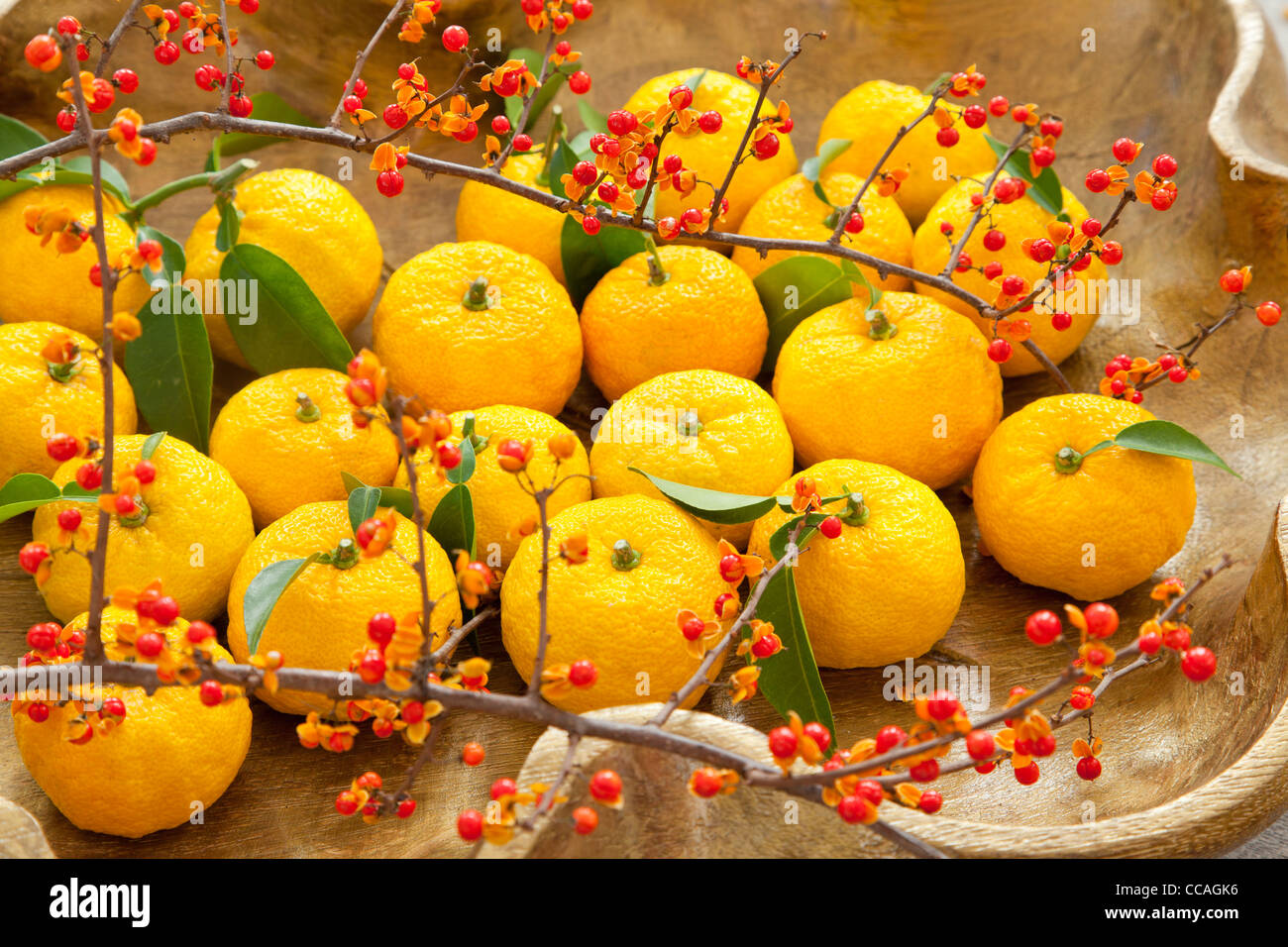 Yuzu Fruits Stock Photo