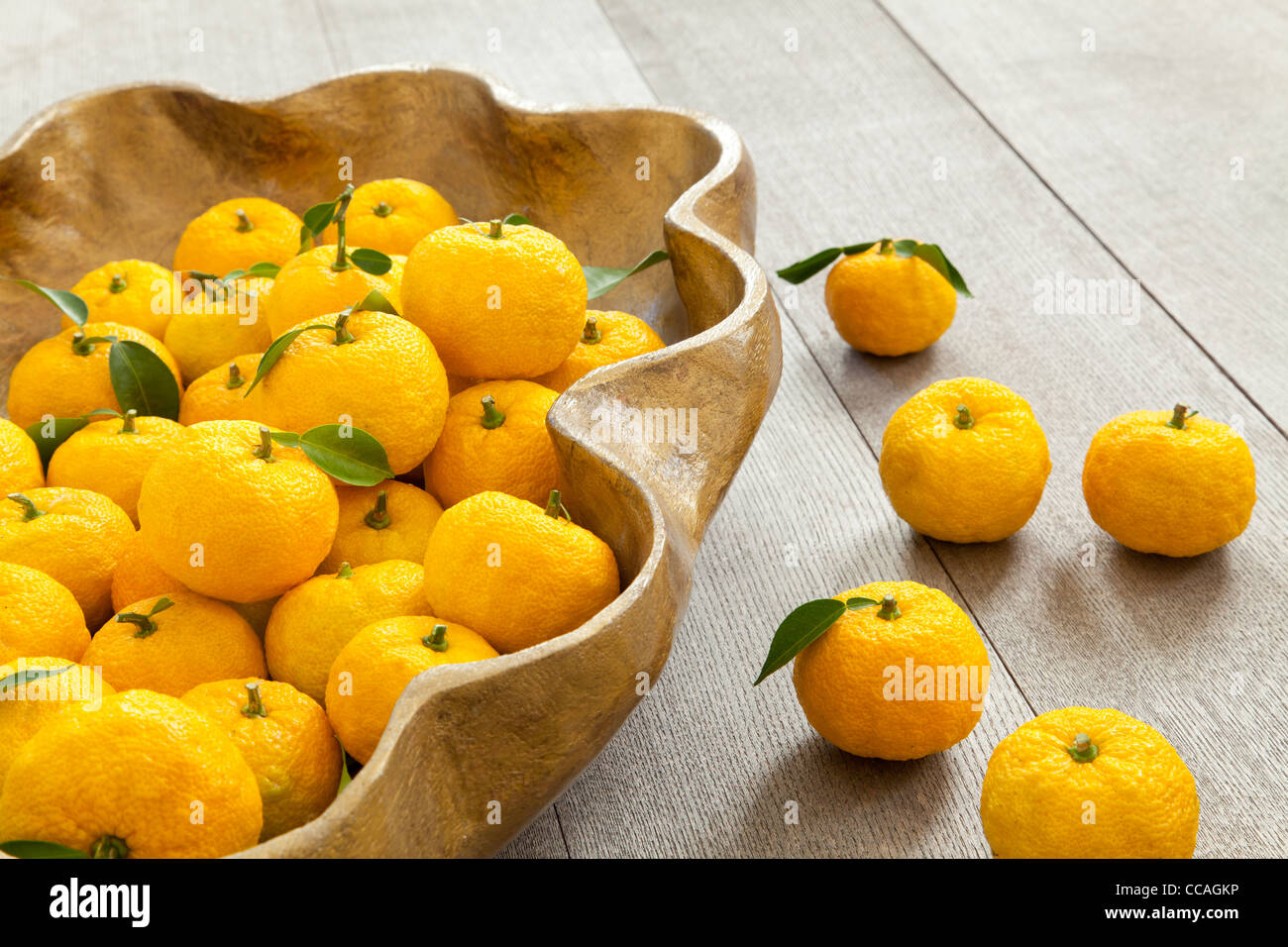 Yuzu Fruits in Fruit Bowl Stock Photo