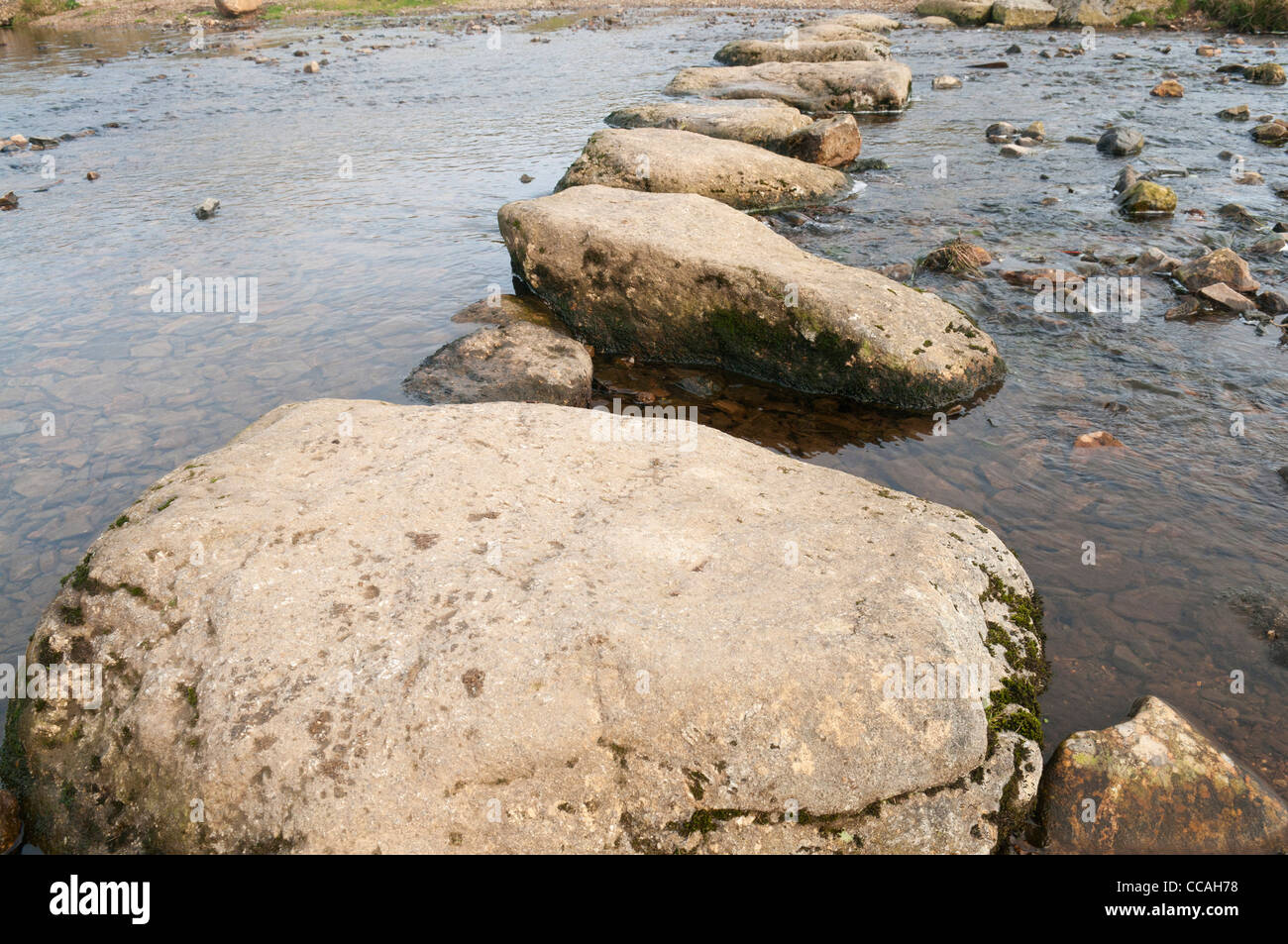 Stepping stones crossing the Lyd on Dartmoor, Devon UK Stock Photo