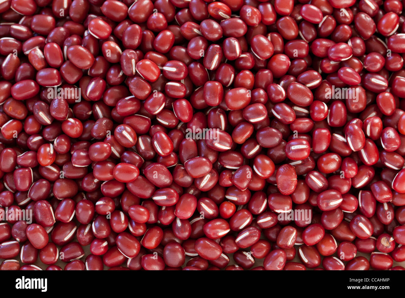 Azuki Beans Stock Photo