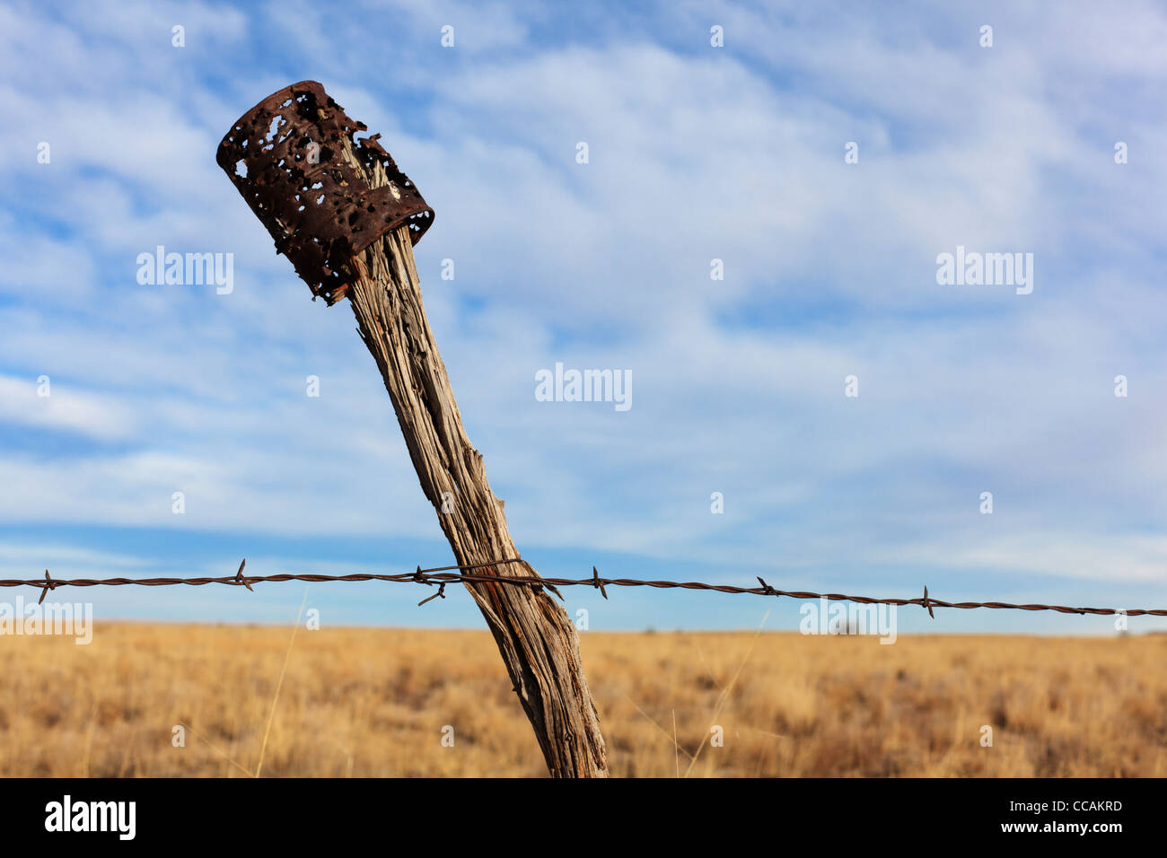An old blasted can on top of a barbed wire fence post - rural New Mexico, USA. Stock Photo