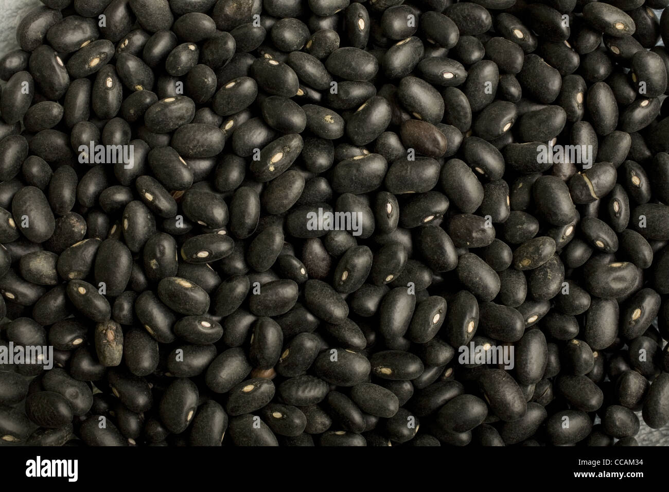 Dry black beans also known as turtle beans Stock Photo Alamy