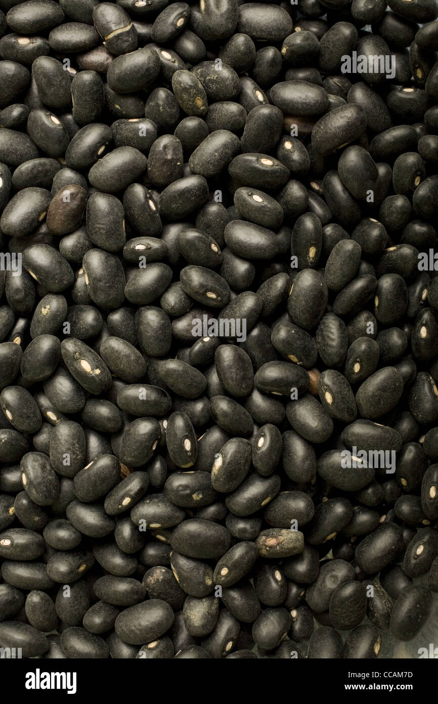 Dry black beans also known as turtle beans Stock Photo Alamy