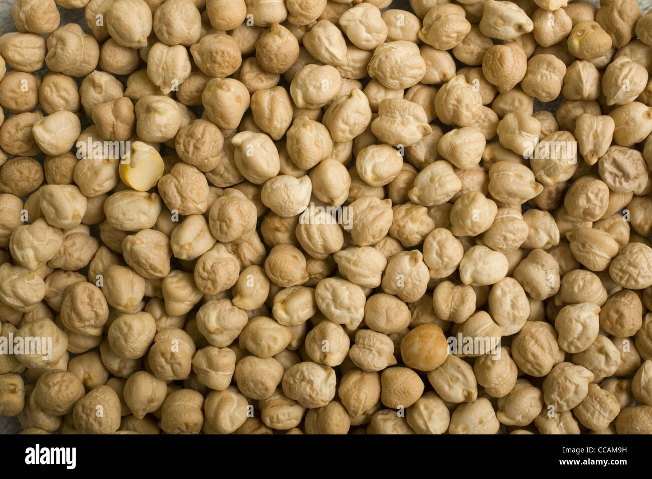 Chickpeas also known as Garbanzo beans. Stock Photo