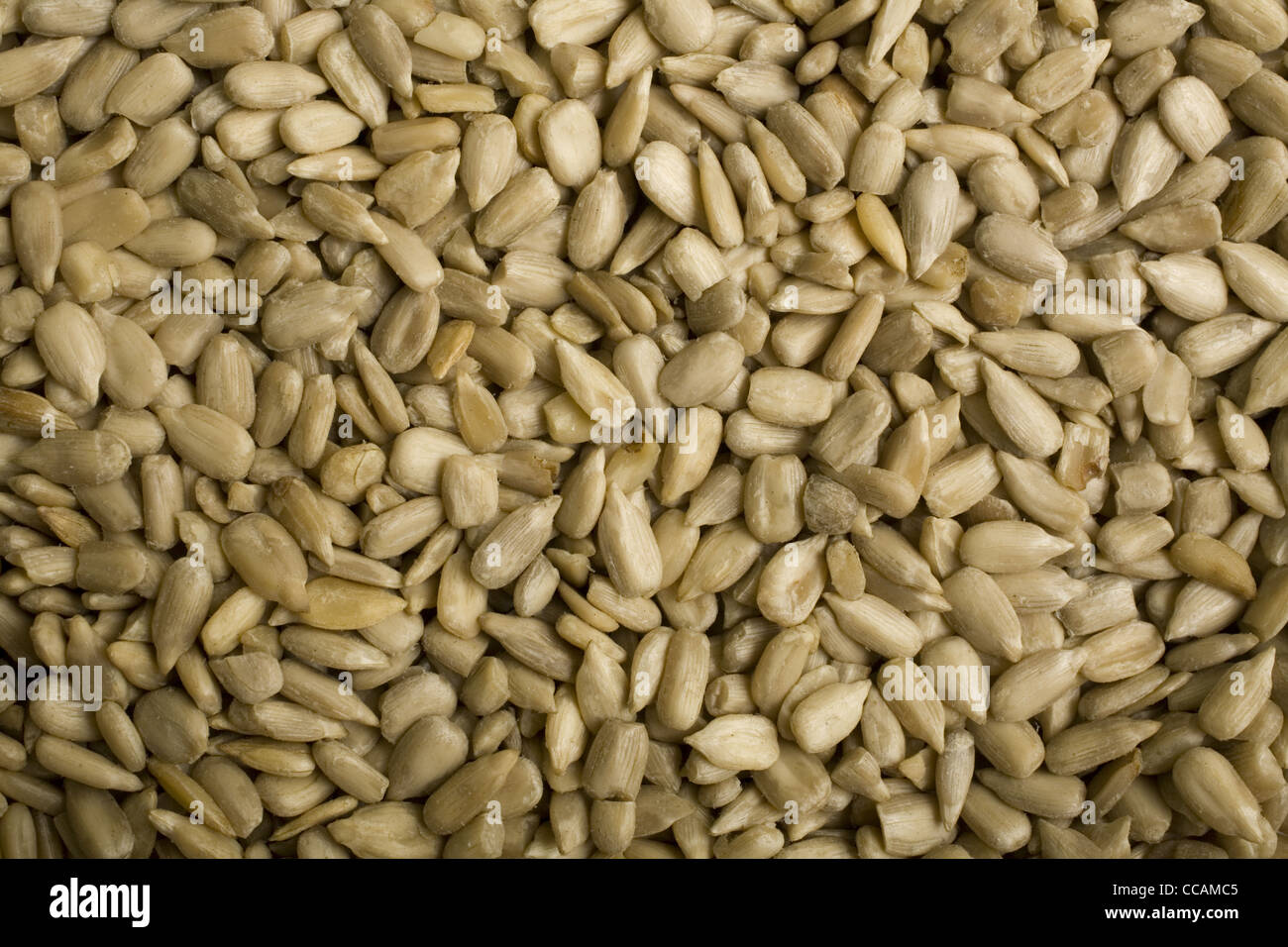 Raw organic hulled sunflower seeds Stock Photo Alamy