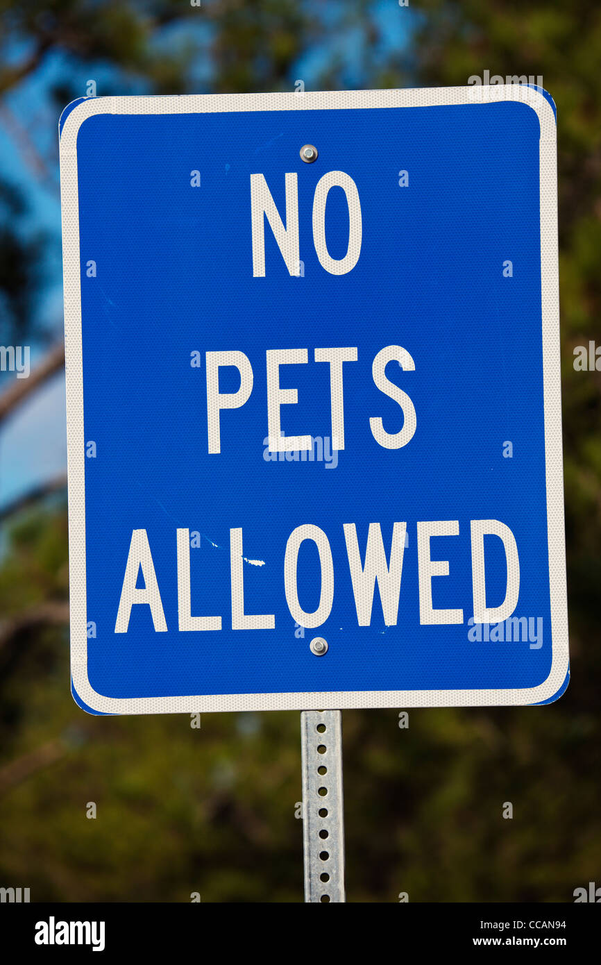Sign road sign blue pet animal prohibited forbidden tree information hi