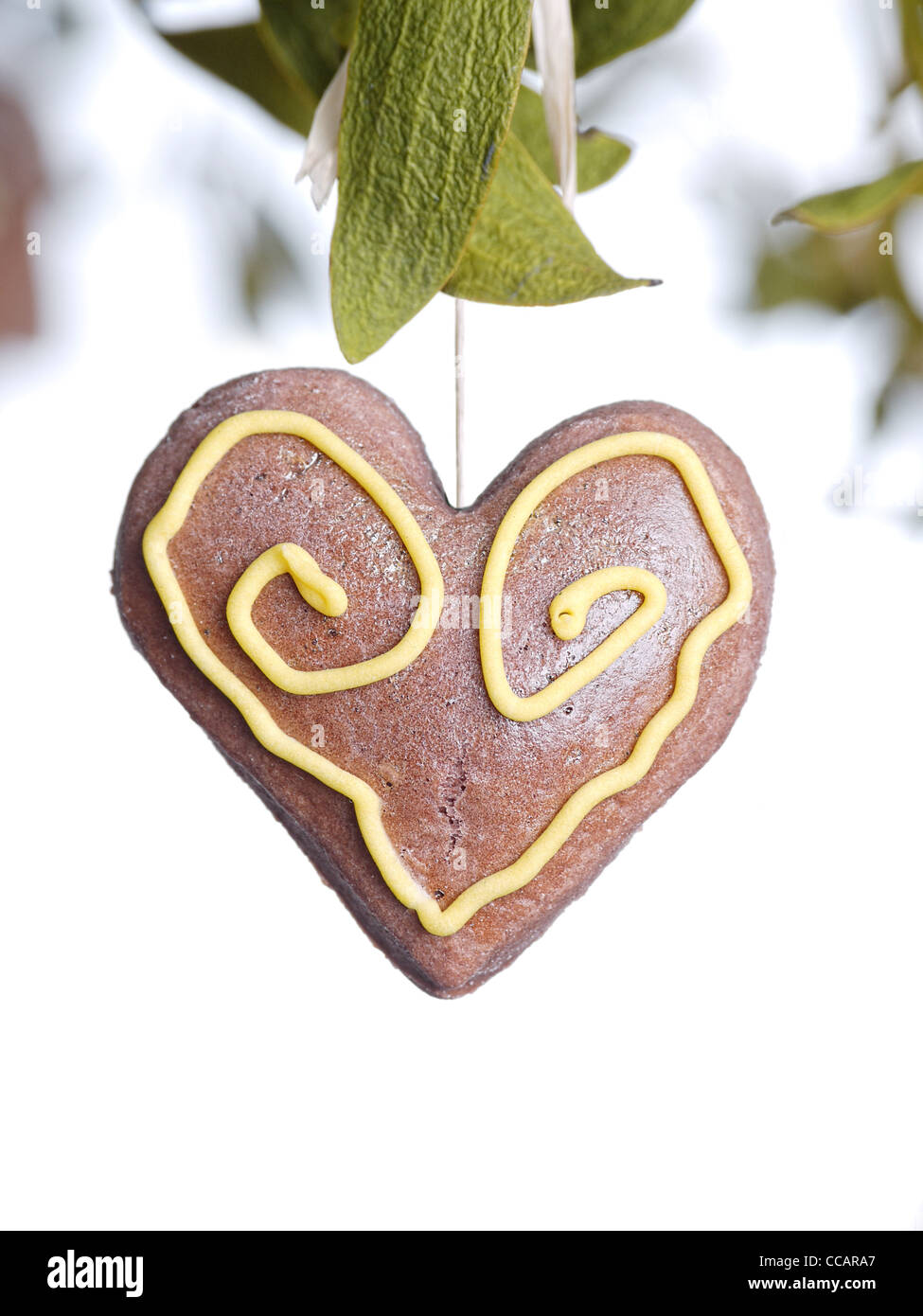 Mistletoe with brown gingerbread heart cake on white background
