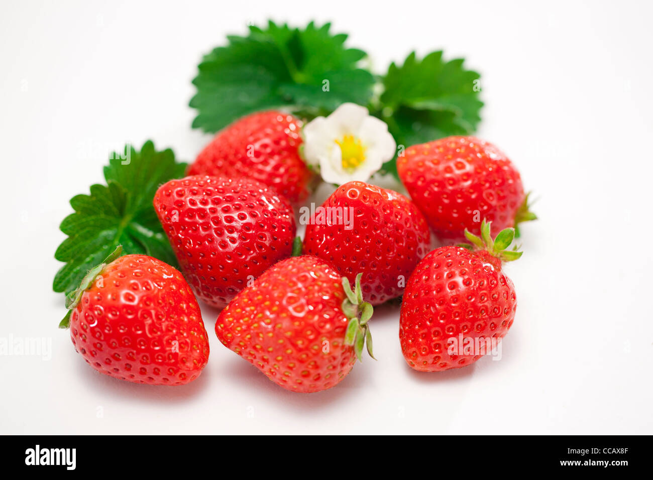 Strawberries bloom hi-res stock photography and images - Alamy