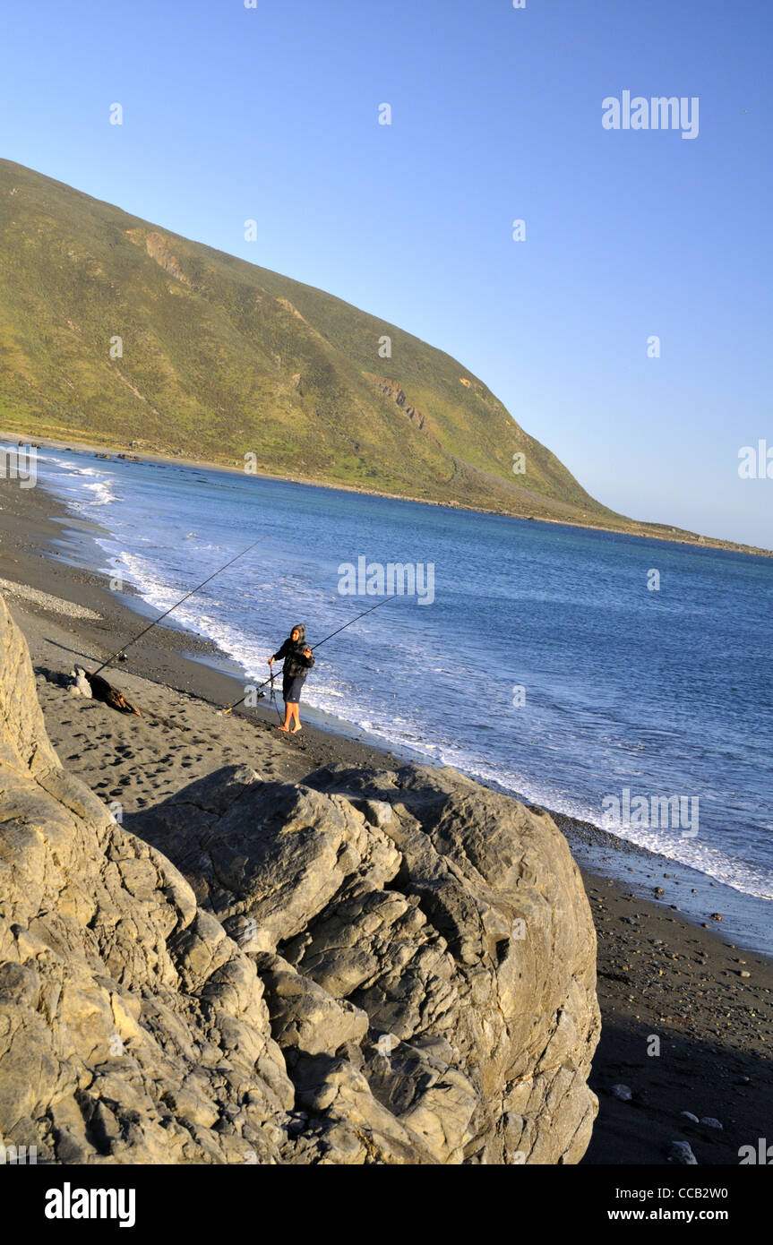North island new zealand beach hi-res stock photography and images - Alamy