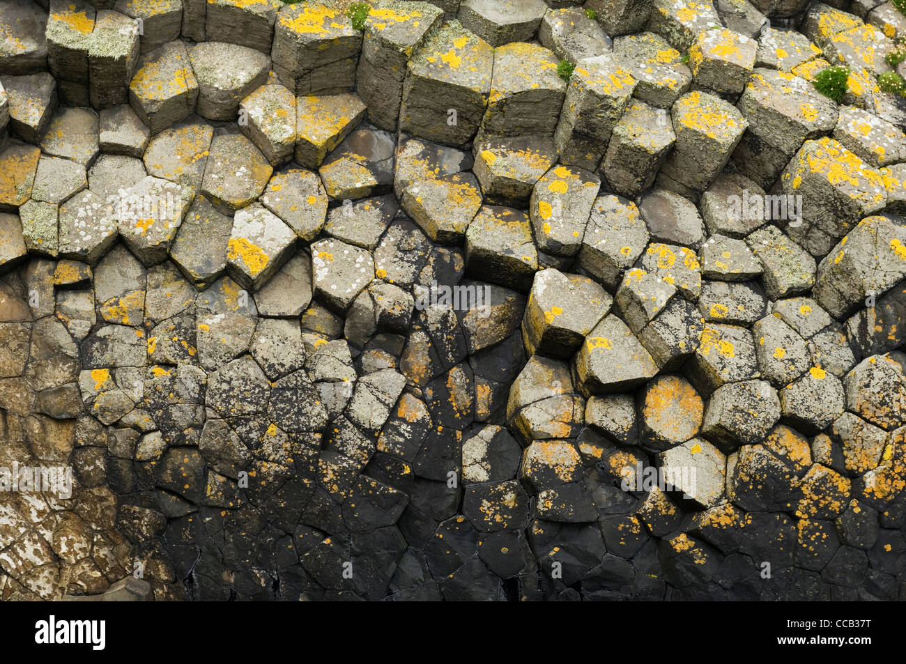 Volcanic basalt rock formations on Staffa, Argyll, Scotland Stock Photo