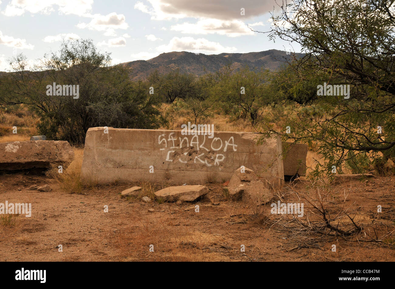 References to smuggling and the Sinaloa cartel are found along a well ...