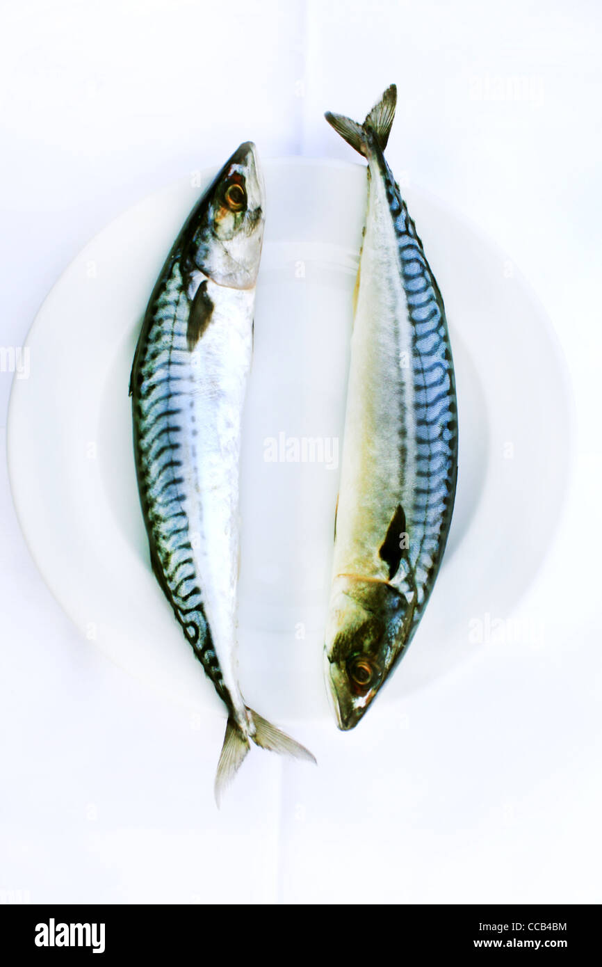 Mackerel scales hires stock photography and images Alamy