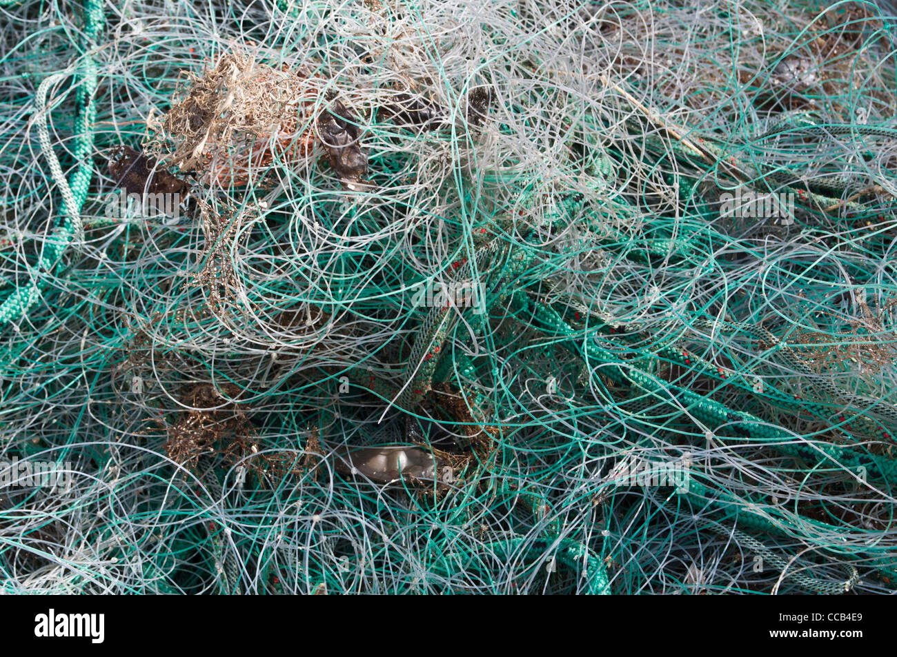 Tangled fishing lines hi-res stock photography and images - Alamy