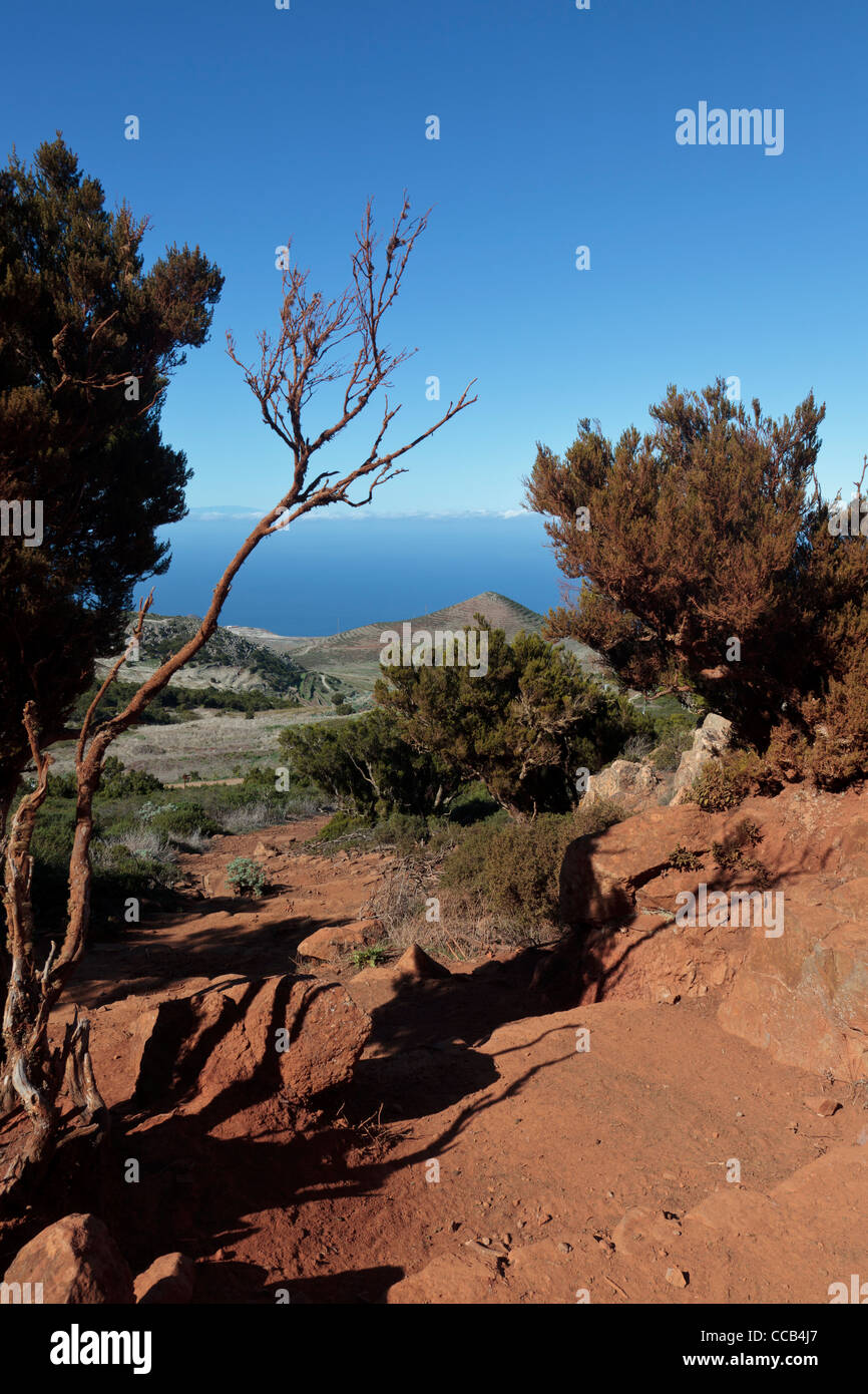A popular path to Teno Alto arrives at a point with deep red soil underfoot and a view to terraces on a distant hill, Teno Alto, Stock Photo