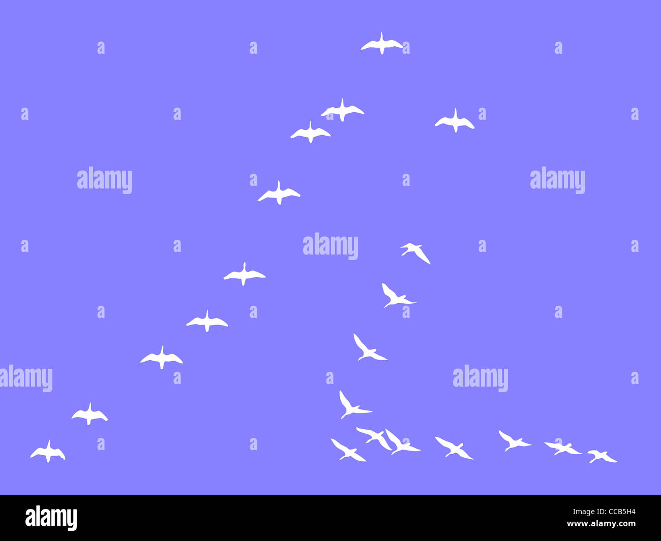 silhouettes flock geese isolated on blue background Stock Photo - Alamy
