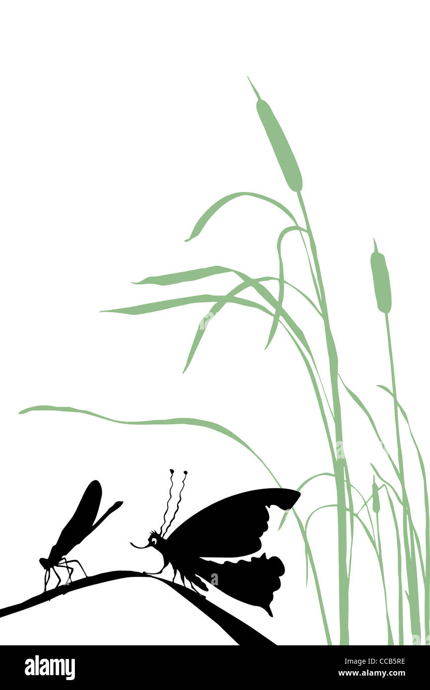 vector silhouette insect on white background Stock Photo - Alamy