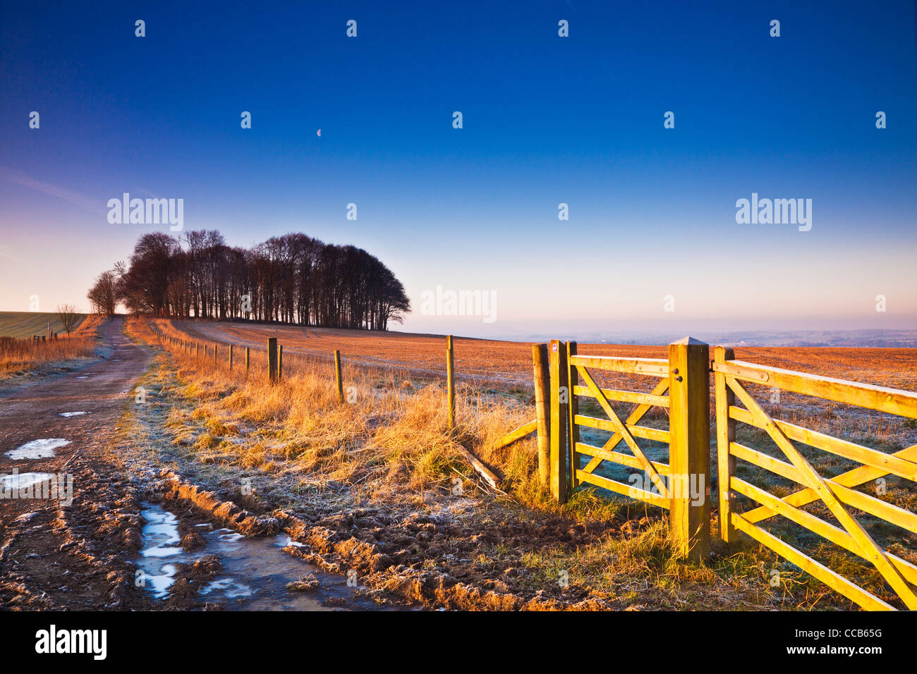 A frosty winter sunrise over the Ridgeway long distance path at Hackpen Hill, Wiltshire, England, UK Stock Photo