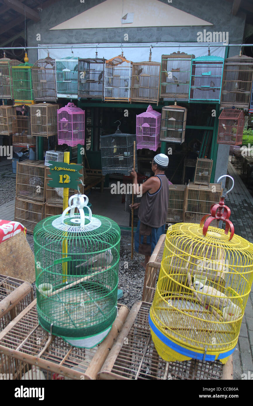 bird market Yogyakarta Indonesia Stock Photo