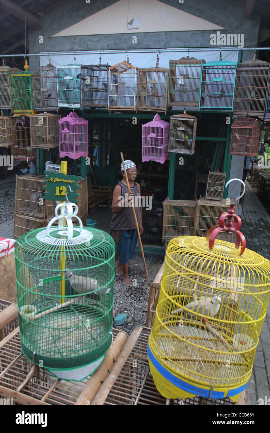bird market Yogyakarta Indonesia Stock Photo