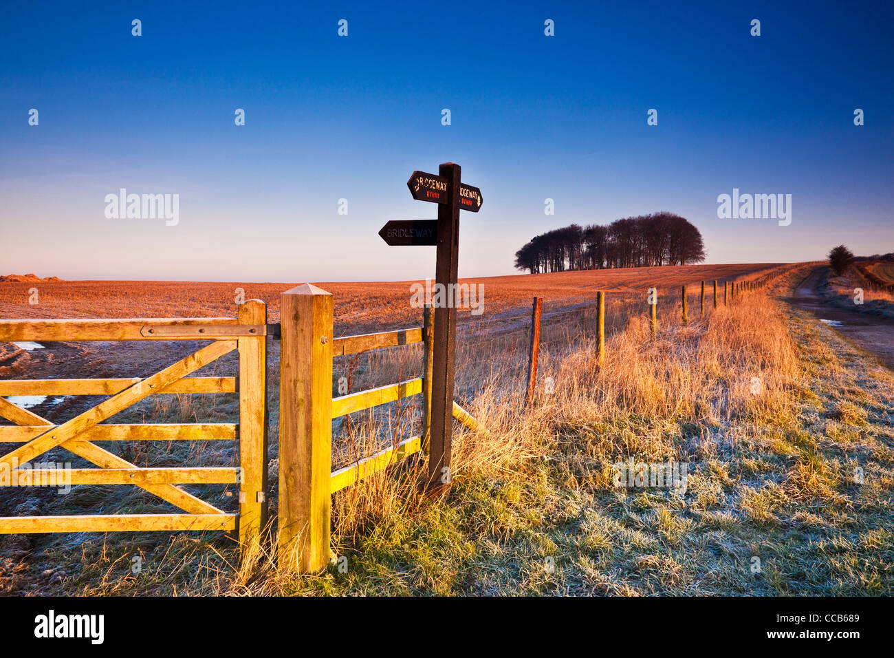 A frosty winter sunrise over the Ridgeway long distance path at Hackpen Hill, Wiltshire, England, UK Stock Photo