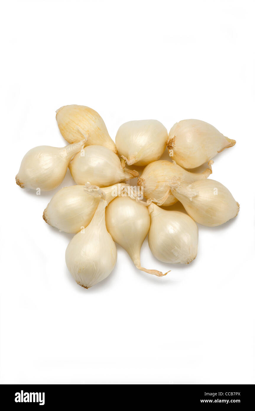 White pearl Cut Out Stock Images Pictures Alamy