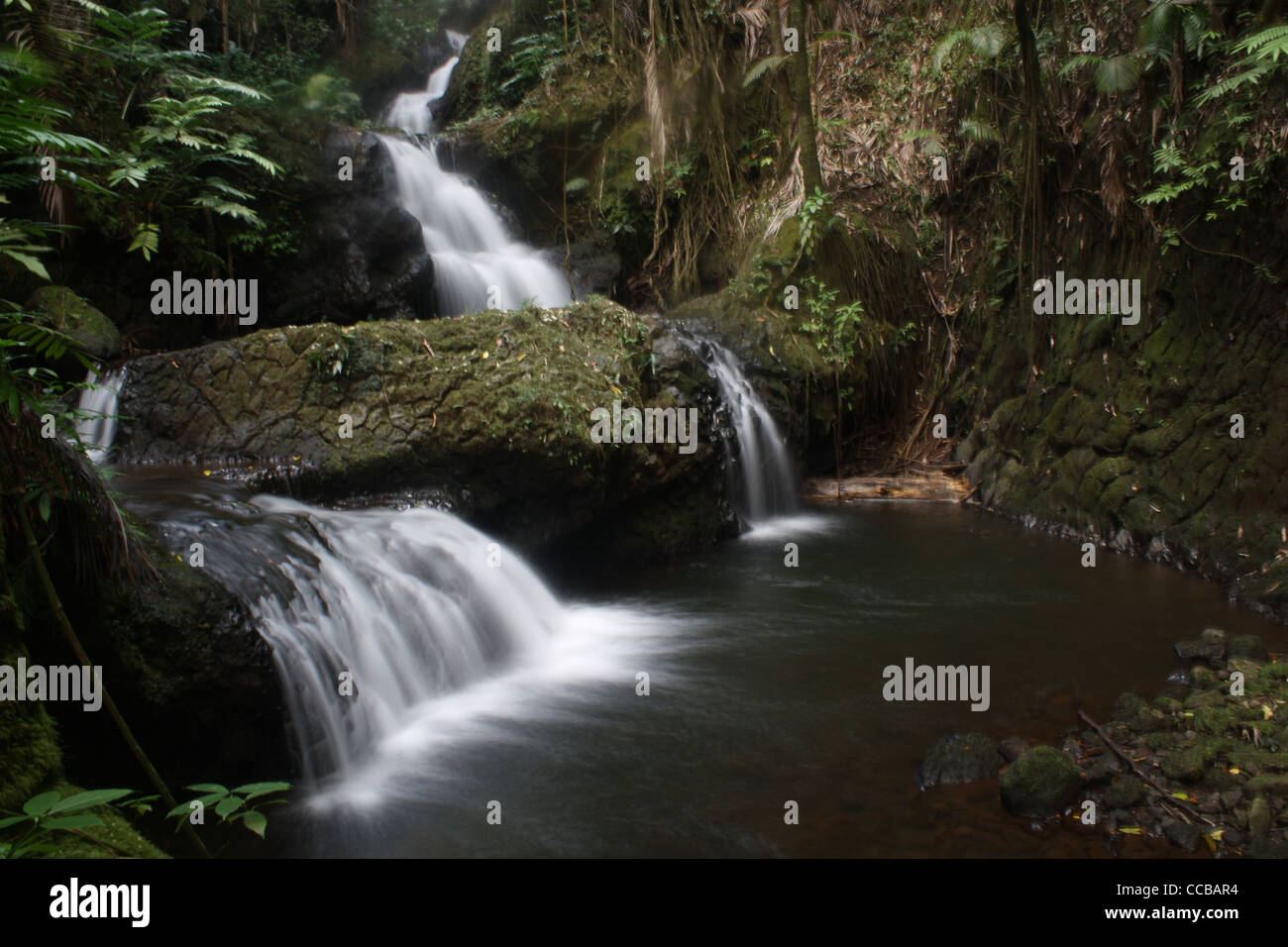 Onomea Falls Hawaii Waterfall Stock Photo