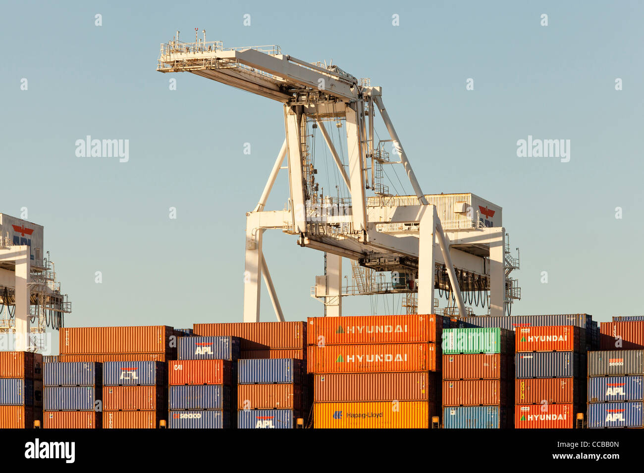 Container cranes ready to unload cargo containers from ship at Port of Oakland - California USA Stock Photo