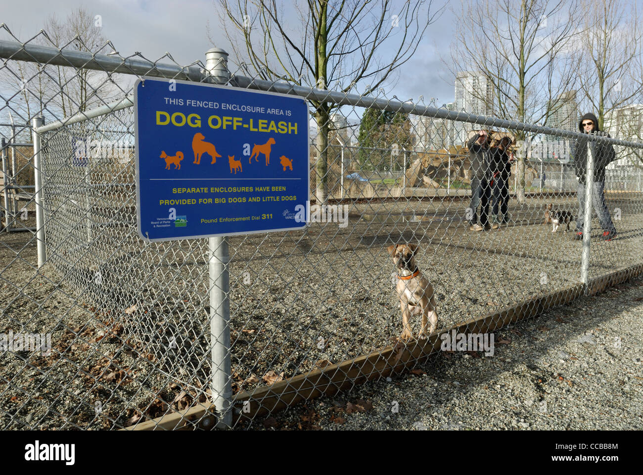 Dog off leash containment area city of Vancouver Stock Photo Alamy