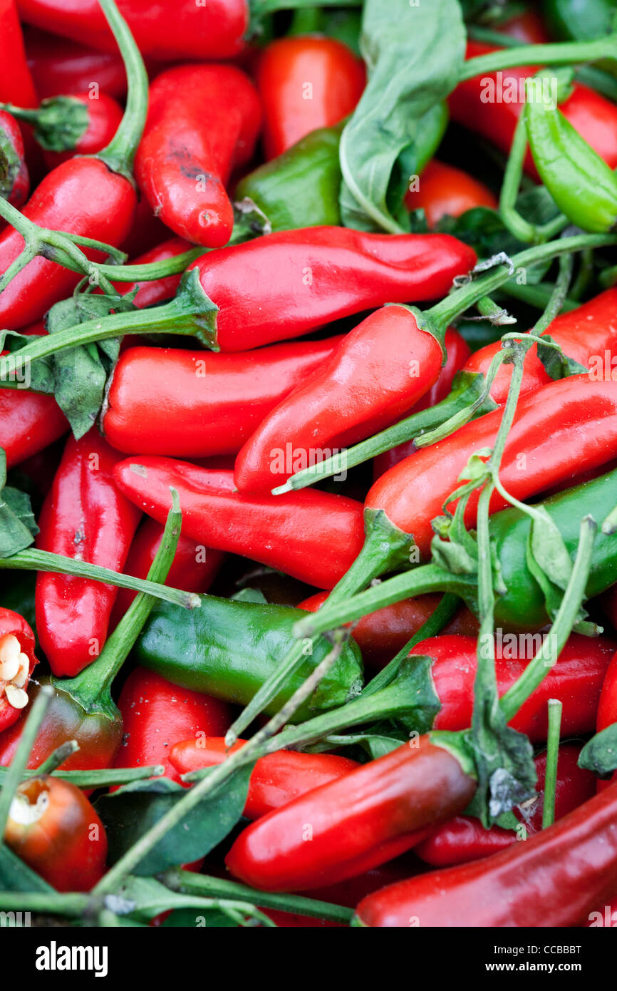 Red and green chillies hires stock photography and images Alamy