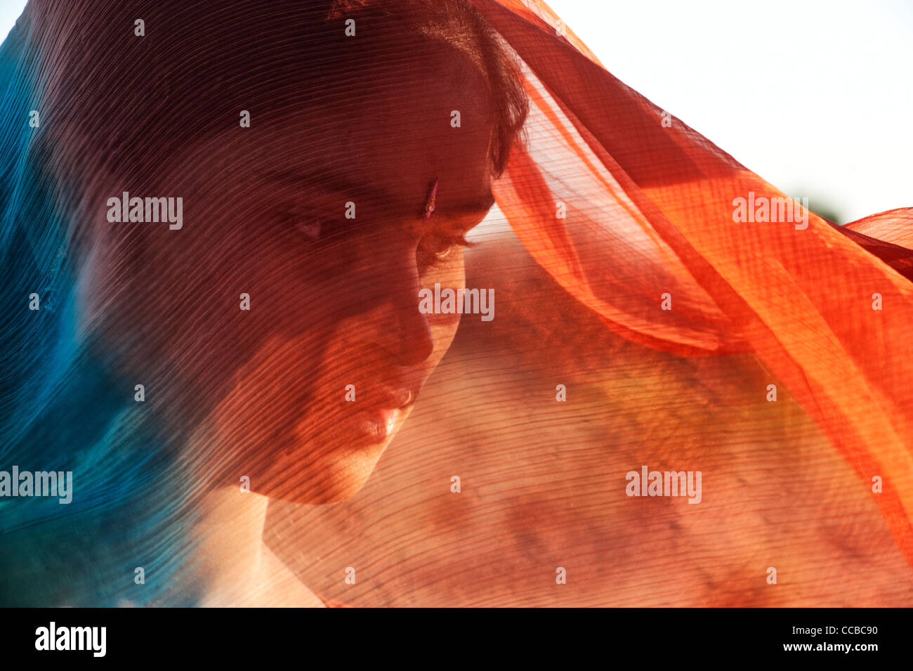 Indian girl wearing a veil. Andhra Pradesh, India Stock Photo - Alamy