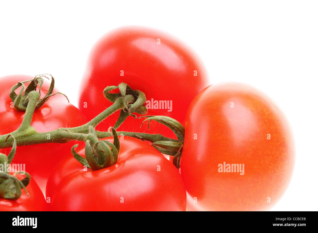 Tomato isolated on white background Stock Photo - Alamy