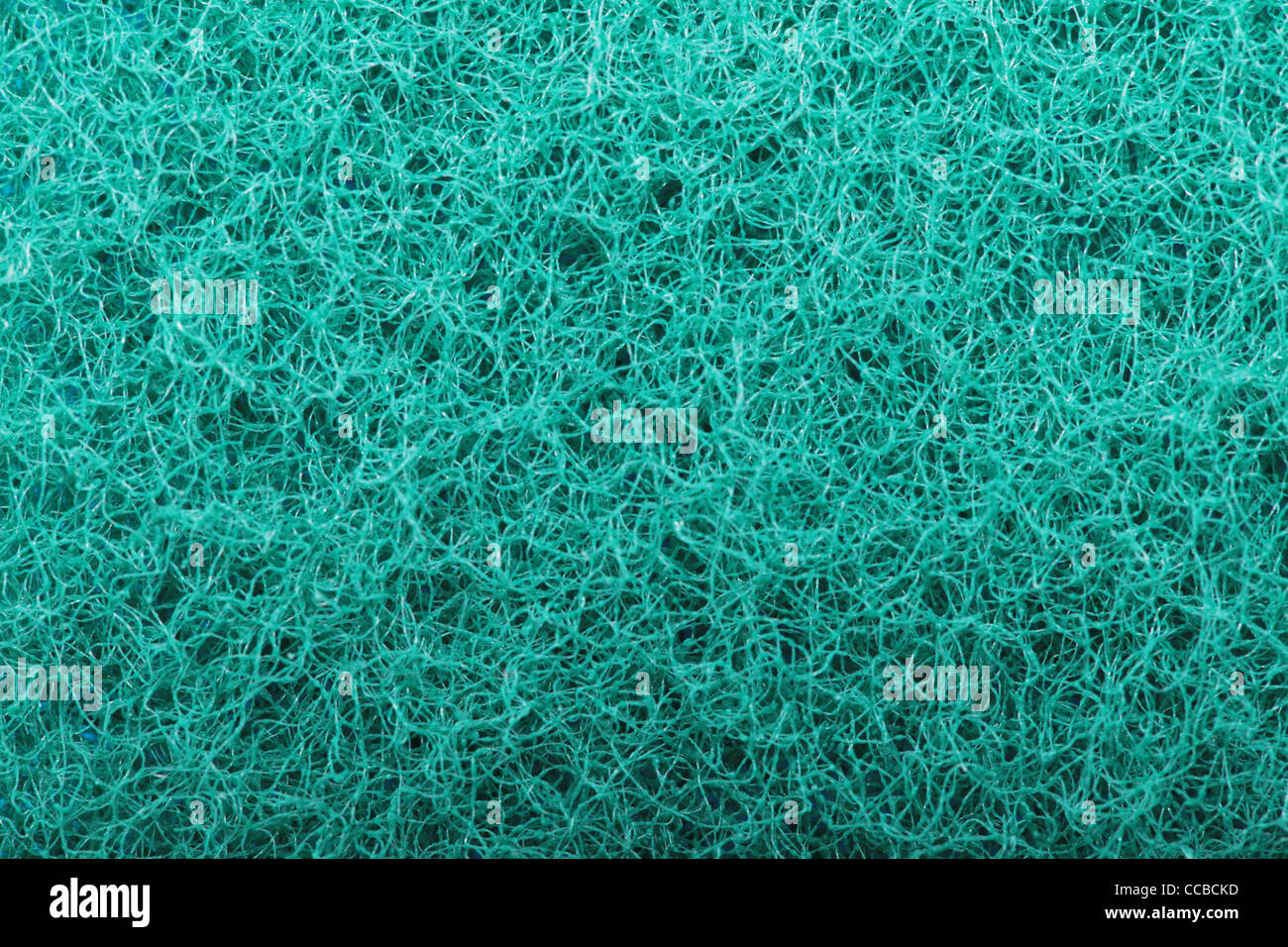 Green abrasive sponge texture background Stock Photo Alamy