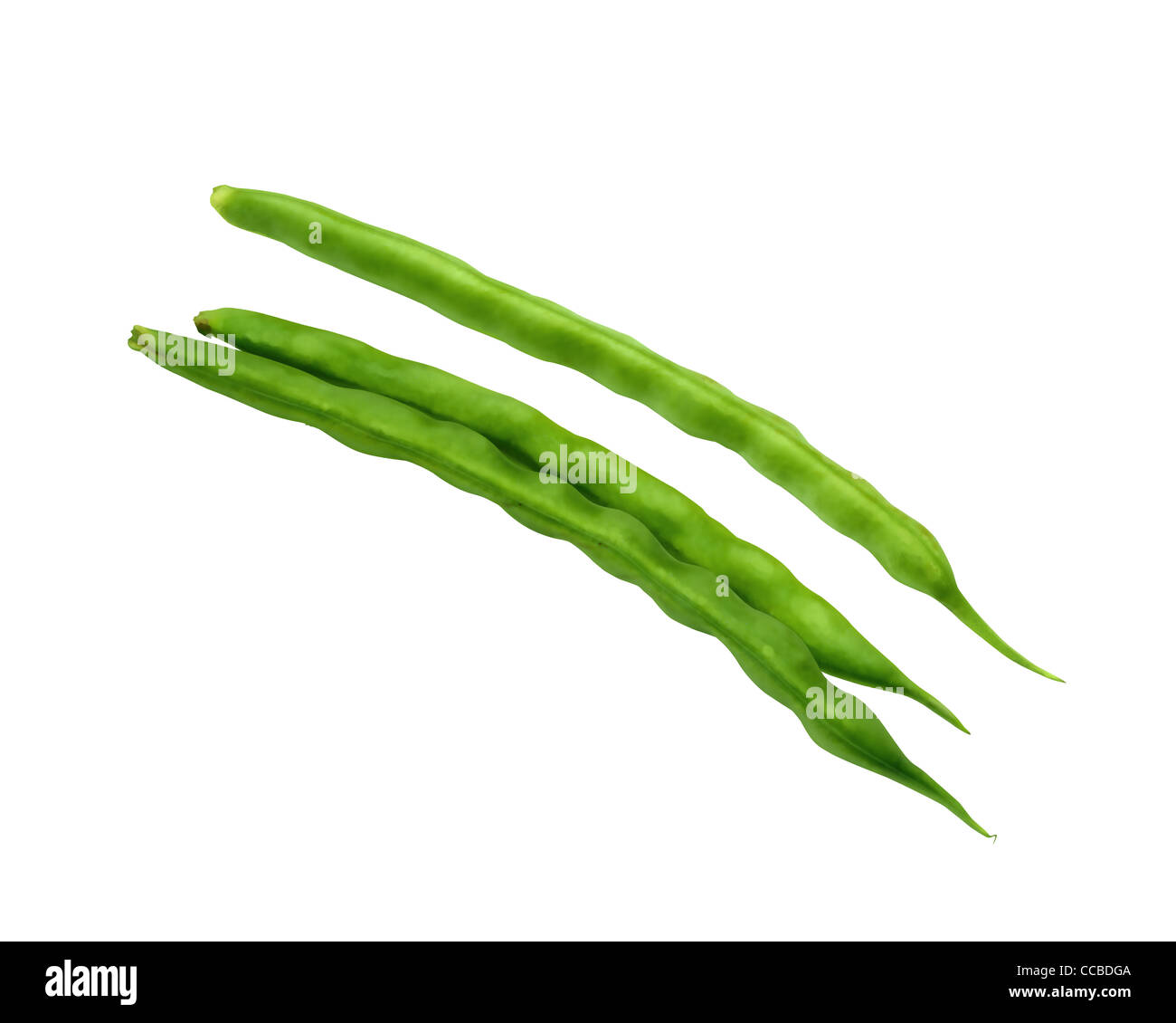 Illustration green beans hi-res stock photography and images - Alamy