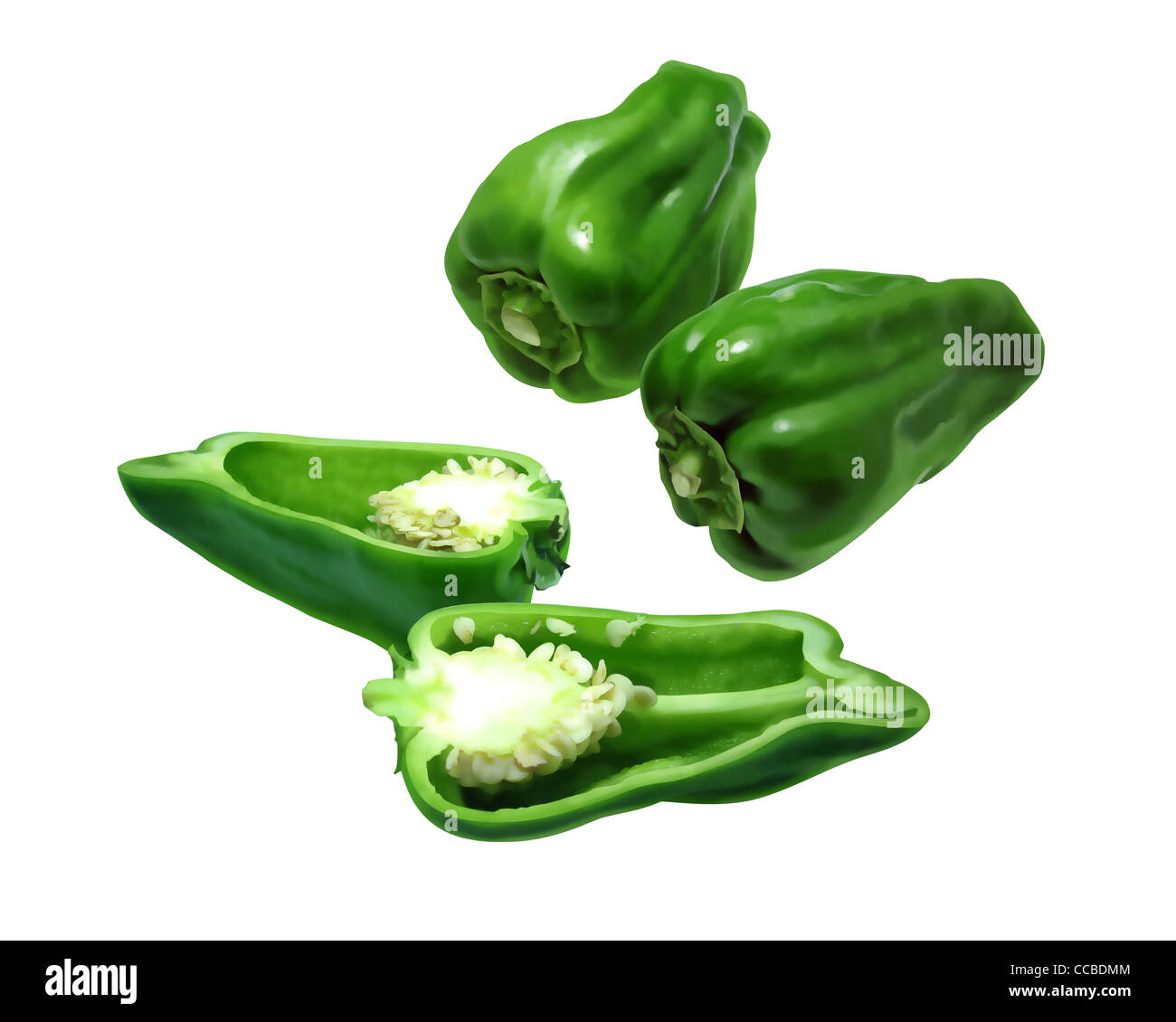 Green Bell Pepper Stock Photo