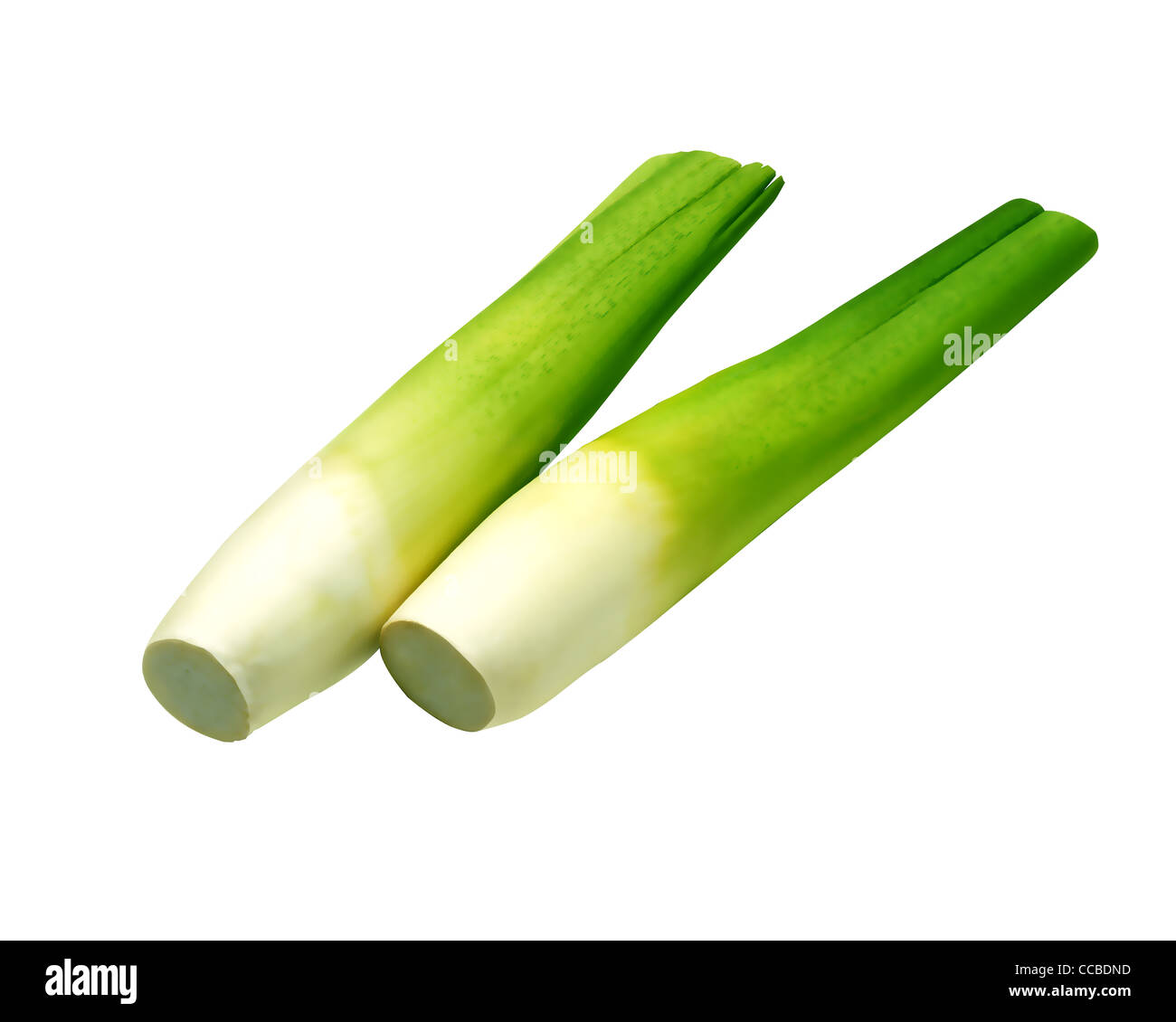 Water bamboo shoot hires stock photography and images Alamy