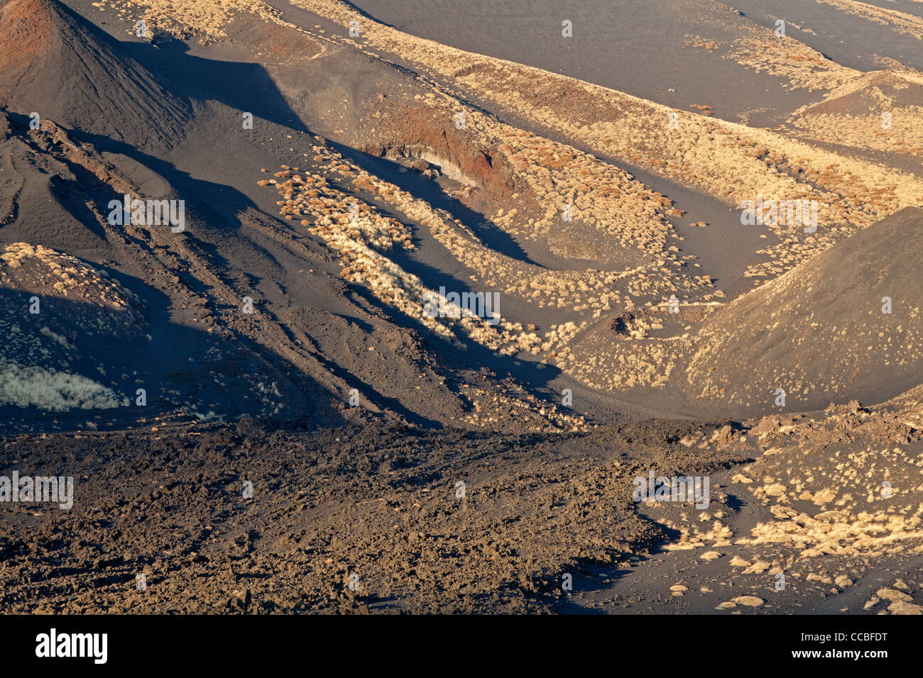 Stream of lava near the Mount Etna, Sicily, Italy Stock Photo
