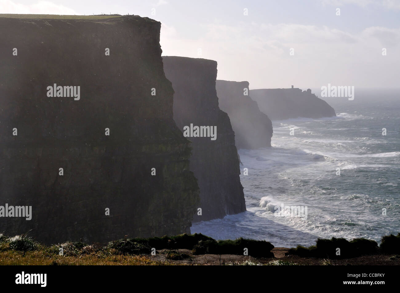 Cliffs Of Moher, Burren, County Down, Northern Ireland, Republic Of 